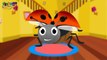 Lady Bug Lady Bug Fly Away Home Song | Childrens Nursery Rhyme With Lyrics | English Nursery Rhymes