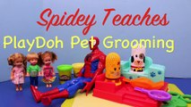 Spiderman & Frozen Kids DisneyCarToys Play-Doh Fuzzy Pets Salon Dog Elsas Kids Felicia Alex