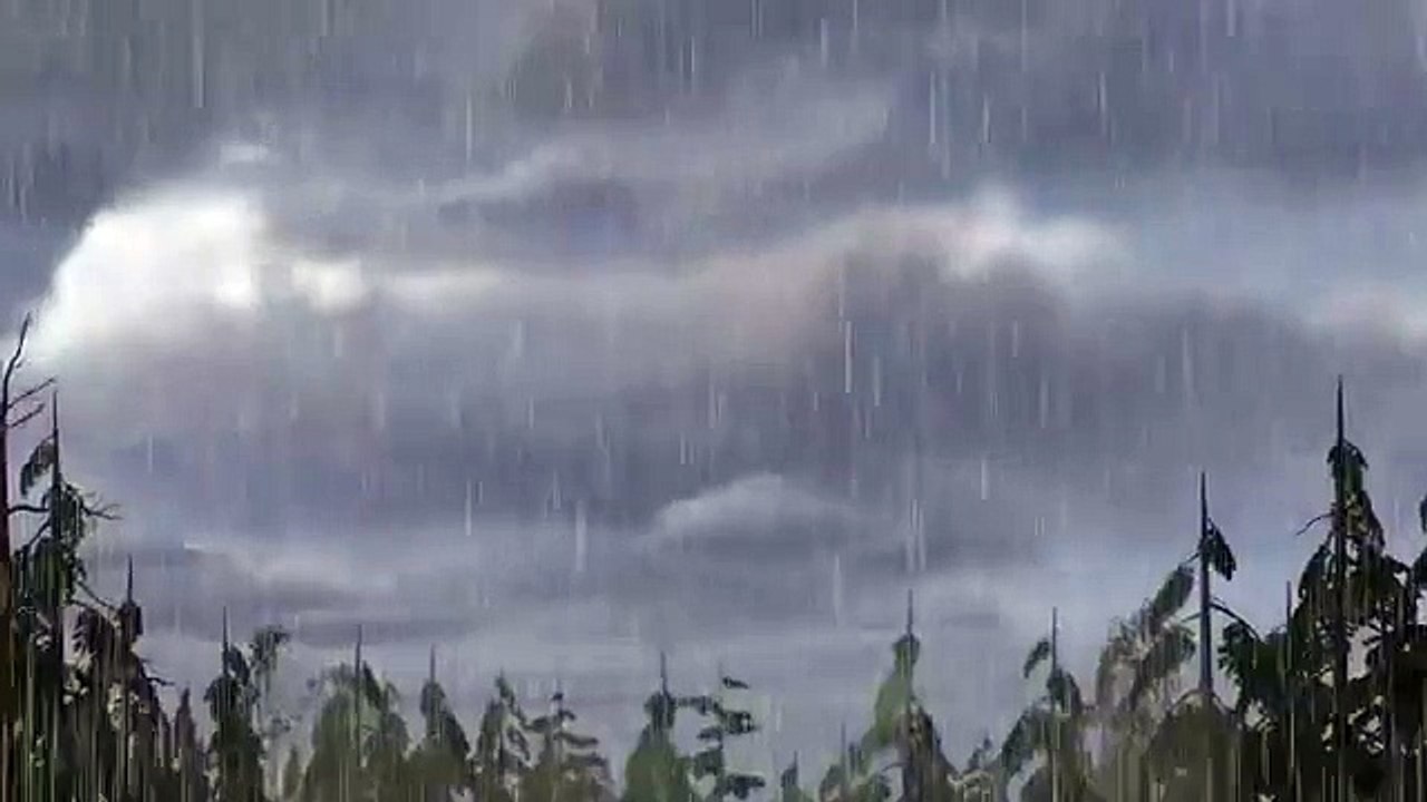 Маша и Медведь (Masha and The Bear) - Фокус-покус (25 Серия)