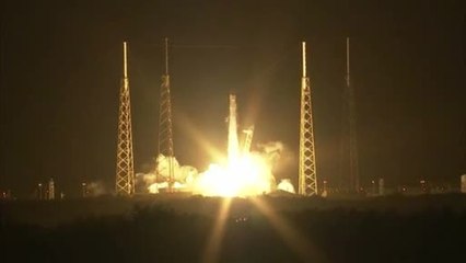 SpaceX Launch