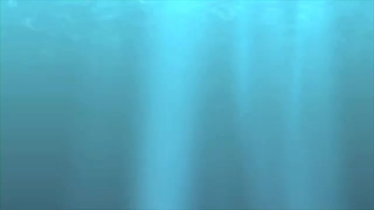 Exploring the Socorro Islands aboard the Baja Aggressor