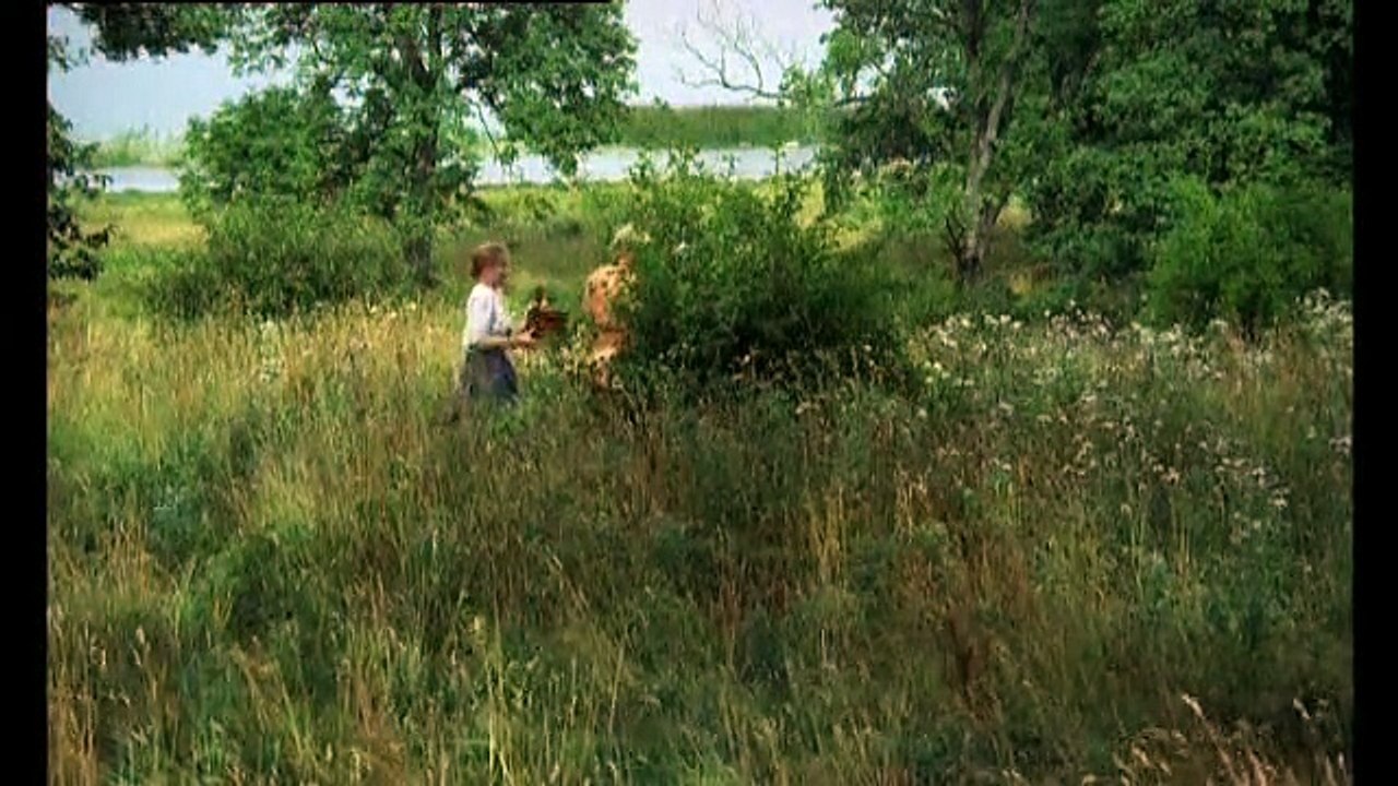 Nybyggarna (1972) 2/4