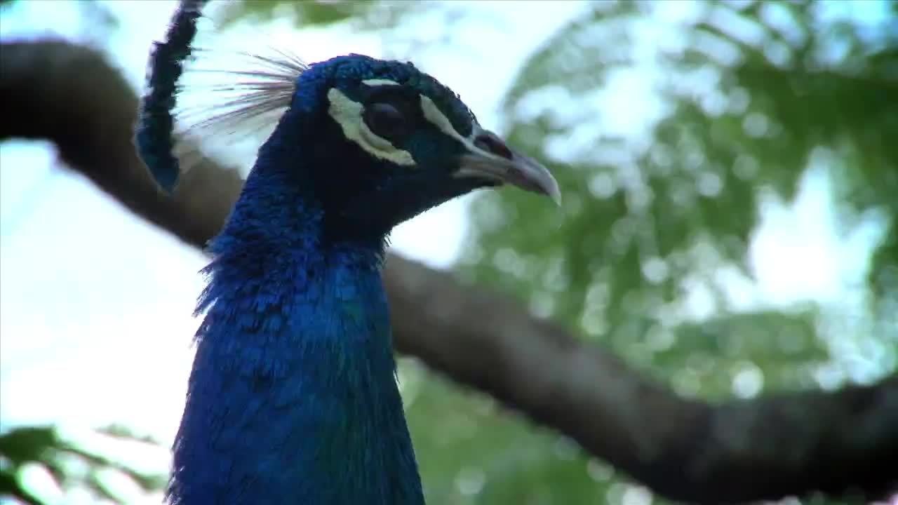 St. Croix: Old World Charm for Lovers