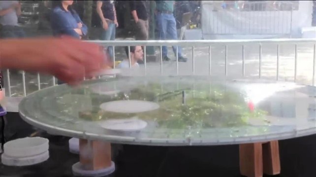 World Science Levitation