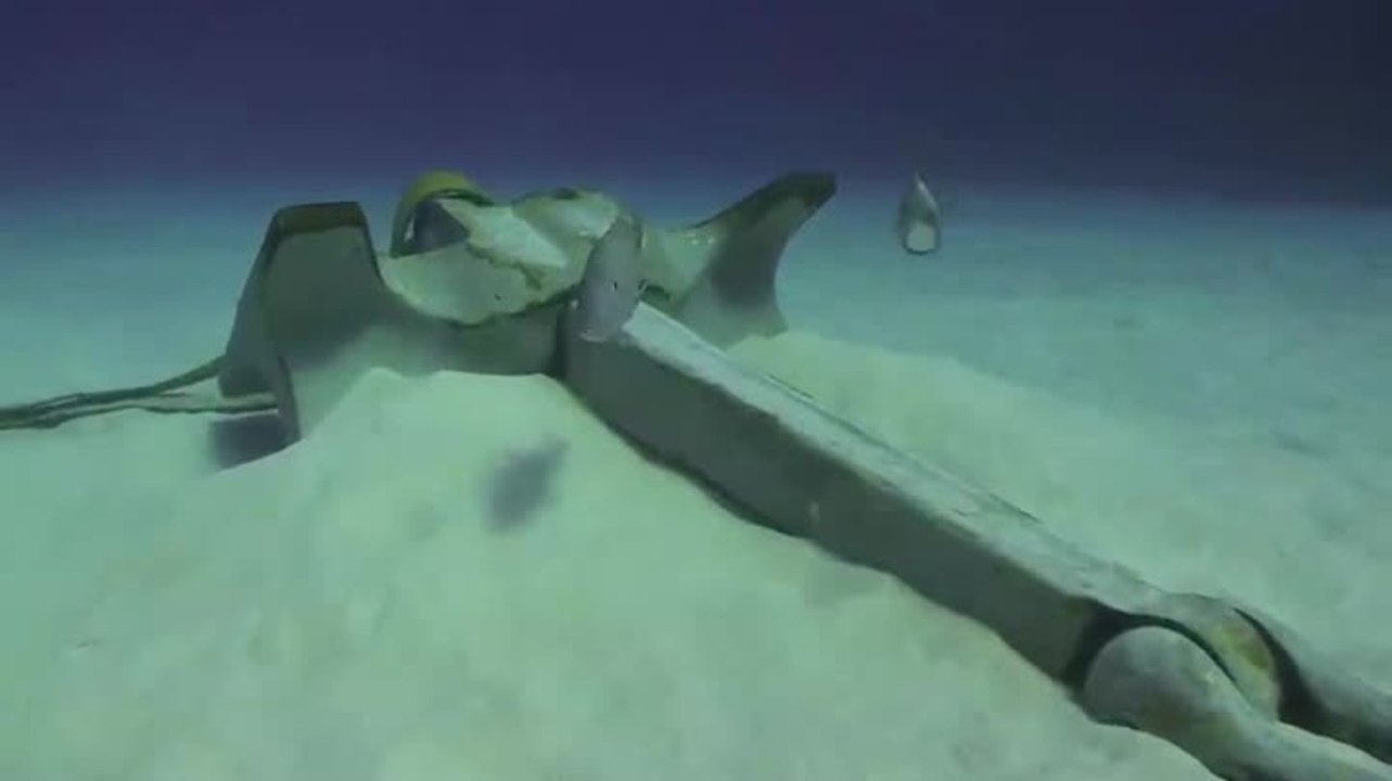 Sinking the Kittiwake