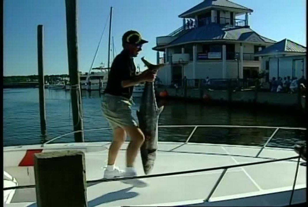 How To Catch Kingfish