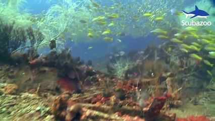 Diving the Rice Bowl Wreck
