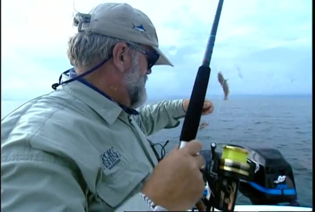 How To Catch Grouper With Pinfish