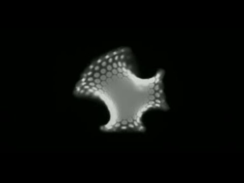 Self-Shaping Gel Sheet