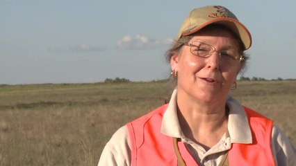 Heroes of Conservation 2013: The Bobwhite Backer in Action
