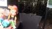 Anna and Elsa toddler dolls meet Koalas and real Australian animals | Frozen petite toddler dolls