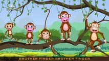 The Finger Family Monkeys Family Nursery Rhyme | Finger Family Songs For Children
