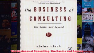 Download PDF  The Business of Consulting The Basics and Beyond FULL FREE