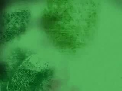 The leader red-skinned