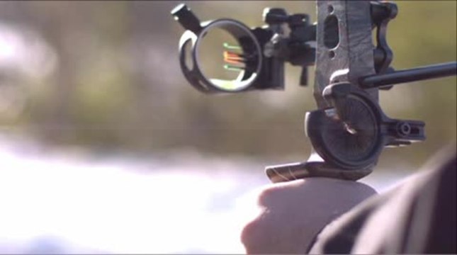 Whisker Biscuit in High-Speed Video