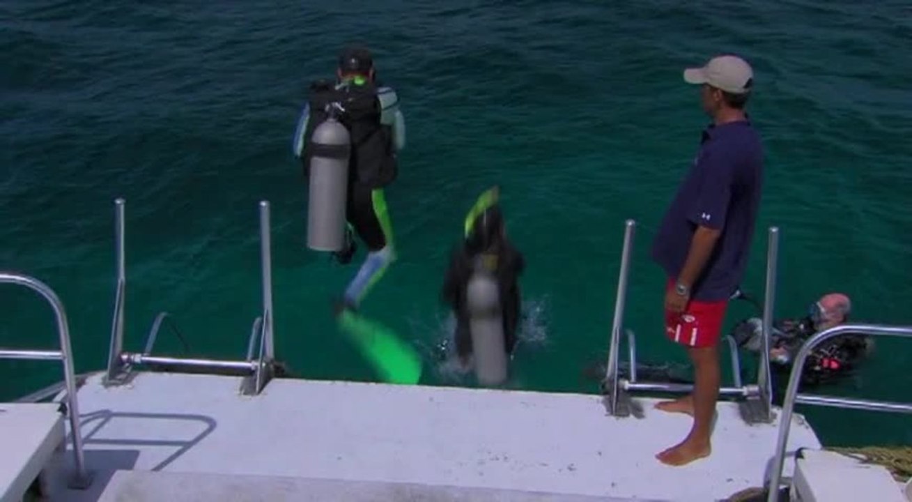 Dive Adventure: Aruba