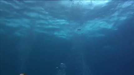 Sport Diver July 2010 Issue Preview