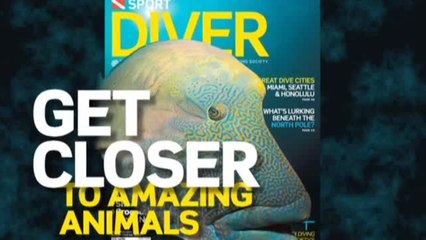 Sport Diver August 2010 Issue Preview