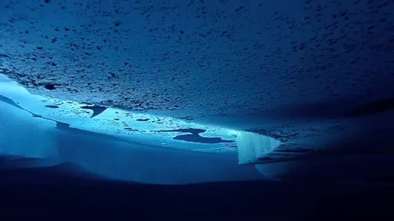 deepsea under the pole