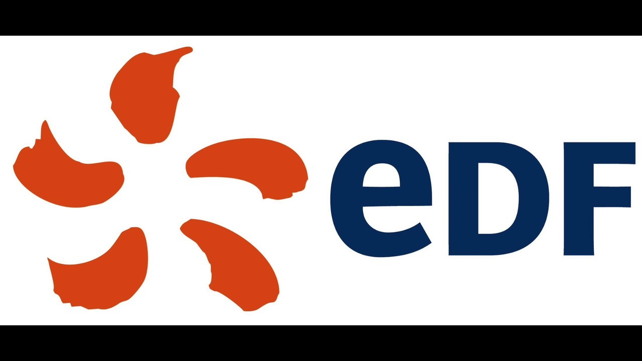 Drone inspection technique EDF