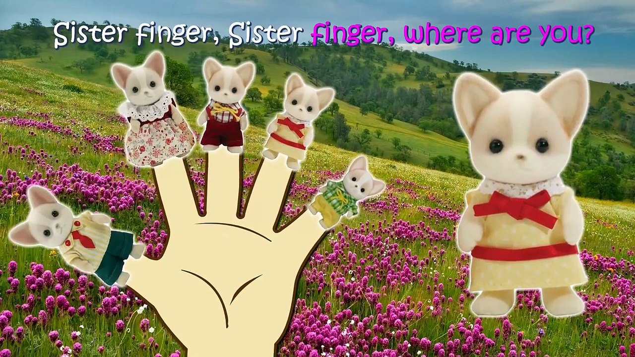 Sylvanian Chihuahua dog Finger Family Nursery Rhymes Lyrics