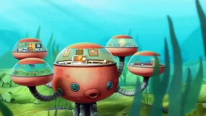 [ HOT ] Octonauts ### Season 4 Episodes 4 *** The Baby Sea Turtles