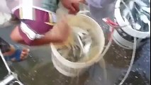 Çinlilerin Balık Yakalama Yöntemi Yok Böyle Bir Şey