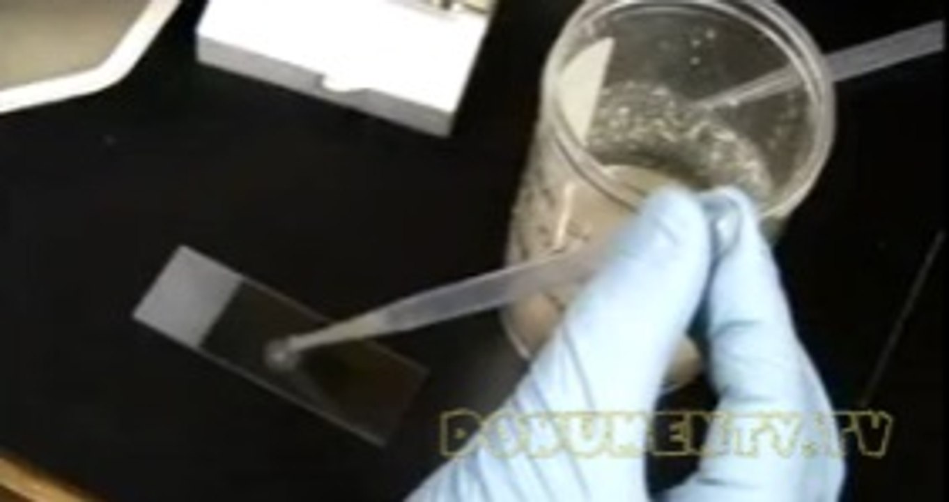 Nejpodivnější případy forenzních znalců - Poslední jídlo +Tragická nehoda -dokument (www.Dokumenty.TV) cz / sk