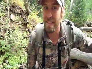 Hiking in the Creek