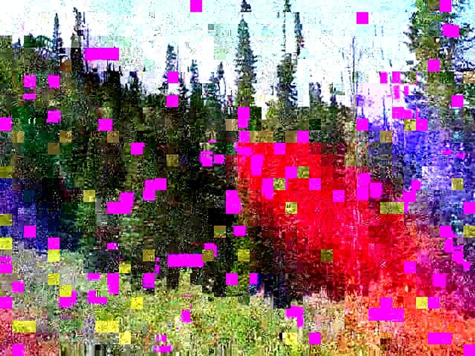 VID00015