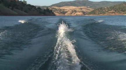 Pro Perspective: Trever Maur