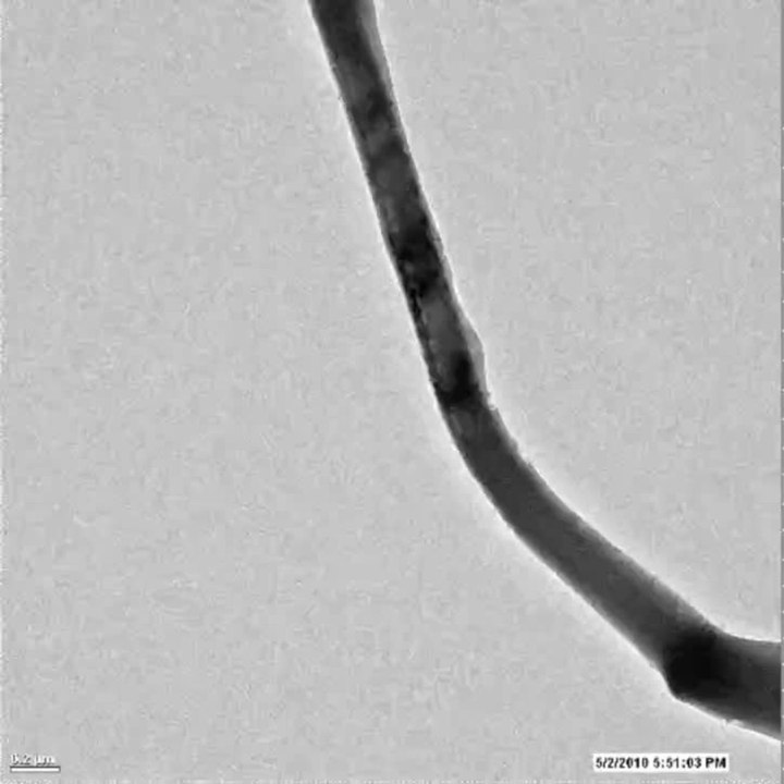Tin Oxide Nanowire
