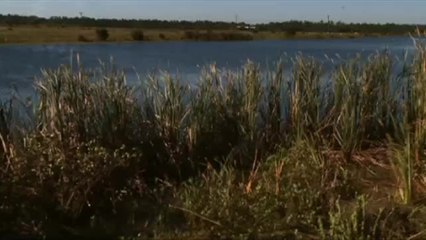 Edged In Water 2  Just Sets