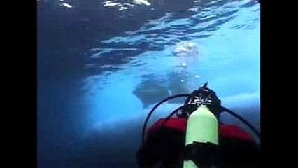 Emmy Award-winning Rolex Scholar, Adam Ravetch