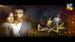 Gul E Rana Episode 18 HD Promo HUM TV Drama 27 Feb 2016