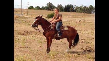 Tough Girl Gets Tossed From Horses Back