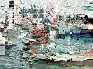 Fishing Shark Alley
