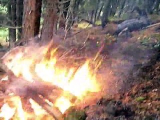 Alaska Dall Sheep Finale