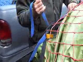 The Hunt for Caribou