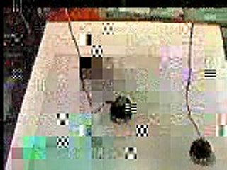 Coevolved Predator and Prey Bots