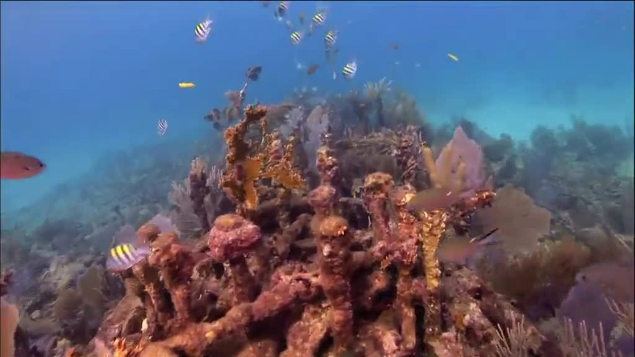 The Florida Keys and Key West