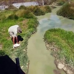 Crazy Crocodile Expert Takes One On A Ride
