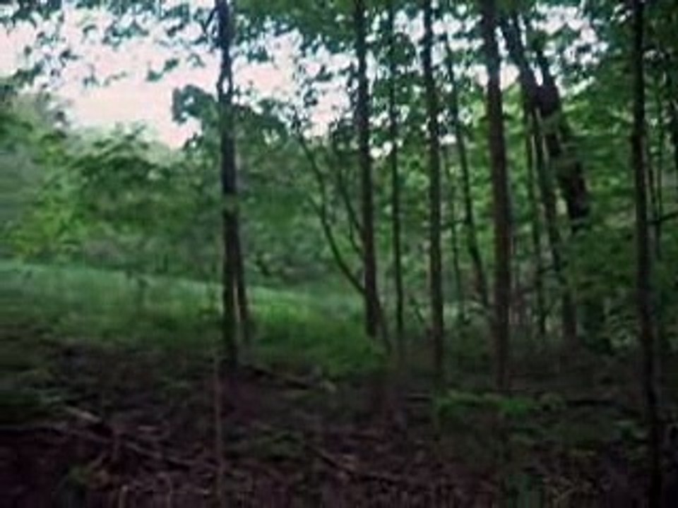 Josh's First Miss