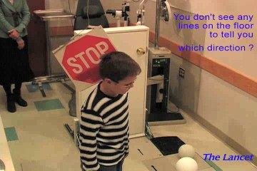 Video 1A.TheLancet (uninjected, d90)