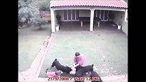 Rottweilers attack small dog and his owner! CCTV footage! WAW