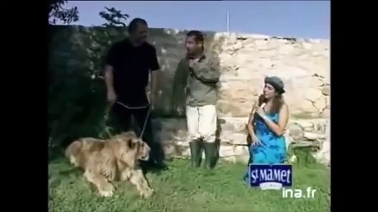 Animal Attacks Compilation 2015 HD ||( Part 3 ) ✔