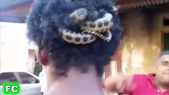 Funny Videos & Crazy Clips ★ August 2015 Compilation ★ FailCity