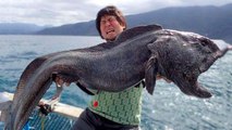 10 Most Terrifying Animals From Around The World