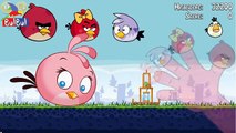 Finger Family Angry Birds Nursery Song and Children 2D Animation Rhymes