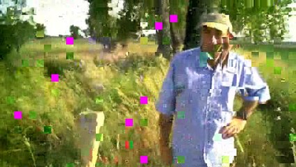 Record Quest: Trail Cam Positioning